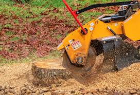Best Hazardous Tree Removal  in Prunedale, CA