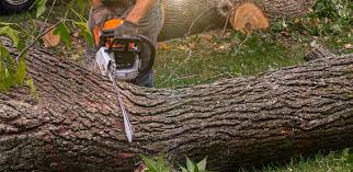Best Commercial Tree Services  in Prunedale, CA